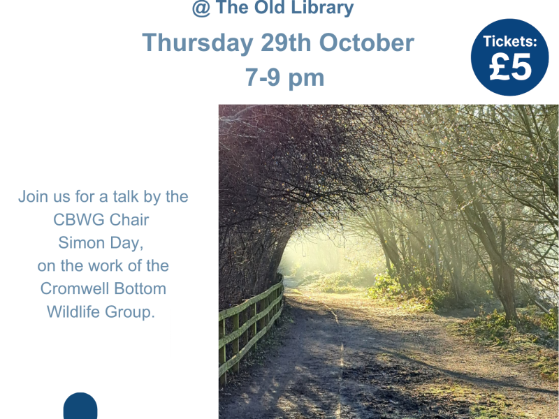 CBWG Talk Poster